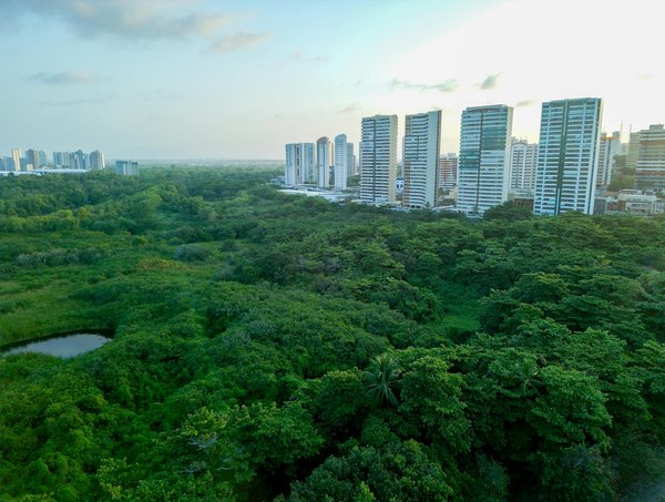 Quelles sont les meilleures pratiques pour la restauration des zones humides urbaines ?